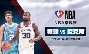 平博体育官网-关于黄蜂4号秀克尼普尔荣膺夏联FMVP，如何展望他的未来？的信息